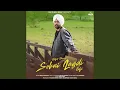 Download Lagu Sohni Lagdi Lo-Fi