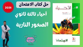 الحل الكامل لأسئلة كتاب الامتحان على الصخور النارية جيولوجيا وعلوم الأرض ثالثة ثانوي 2026 