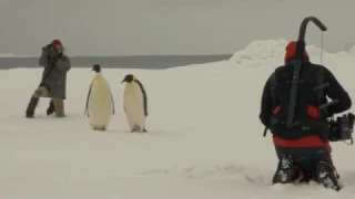 L'ODYSSÉE - extrait Making-of "tournage en Antarctique"