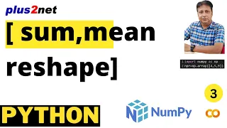 NumPy Basics Explained array arange sum mean axis reshape in Colab Python Tutorial