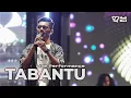 Download Lagu Mail Ska - Tabantu | Live Performance