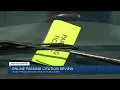 Online parking citation review