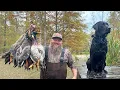 2 Days at a Beautiful Lodge Hunting Ducks Quail Pheasants with some Great Dogs