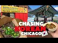 Finding Korean Food Culture in Chicago