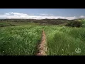4K AV1 Test