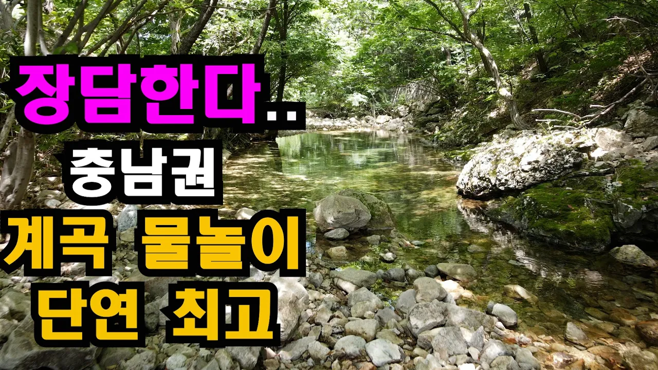 20년간 계절 관계 없이 다니던 계곡.깊은 산골 1급수 자연 계곡..단연 충남권 최고라 자부 !! 썸네일