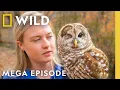 Secrets of the Zoo North Carolina MEGA EPISODE Nat Geo Animals