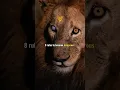 Download Lagu 8 Rules to become dangerous 😵‍💫 #motivation #mindset #entrepreneur #entrepreneurquotes #success