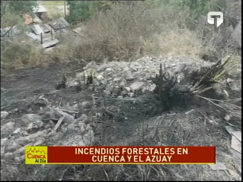 Incendios forestales en Cuenca y el Azuay
