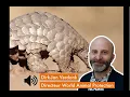 Download Lagu Hoe ontstaan ziekten zoals het coronavirus?