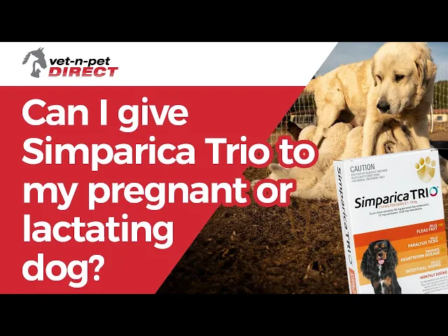 Simparica TRIO Chewable Tablet for Large Dogs 20.1-40kg
