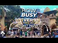 How BUSY is Universal Orlando Resort Right Now - Tips for Universal Orlando