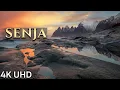 Download Lagu Senja in 4K – Norway’s Most Breathtaking Island!