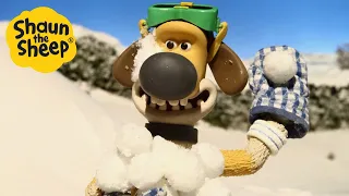 Shaun The Sheep Snow Fight Cartoons For Kids Full Episodes Compilation 1 Hour 