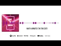 WILLOW - Wait A Minute! (Tik Tok Edit)