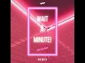 Download Lagu WILLOW - Wait A Minute! (Tik Tok Edit)