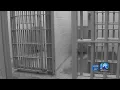 I struggle to this day Sexual assault victim suing Va Peninsula Regional Jail speaks out