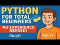 Python for Total Beginners - No Experience Needed Python Course
