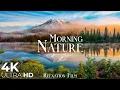 Lagu Morning Music in Nature 4K Ultra HD • Relaxation Film | Calm Piano