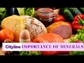 The role of minerals in your diet