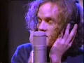 R.E.M. "South Central Rain (Were Sorry)" ‌‌ - Bohemia Afterdark
