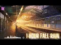1 Hour Fall Rain ❤️ | Nhạc Chill Thư Giản sau một ngày làm việc mệt mỏi | Music TTT