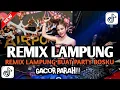 Lagu PARTY AN REMIX LAMPUNG TULANG BAWANG TERBARU YAY..!!!