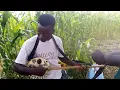 Download Lagu The young shall indeed grow. Great Kologo vibes from @Akumolga_Awane.