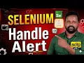 Selenium Alert Handling in Java Simple Alert Confirm Prompt Tamil