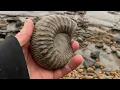 Looking for fossils at Lyme Regis