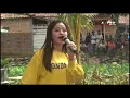 Download Lagu NEW PANDAWA SAKTI BAGAI RANTING KERING DEA AMANDA