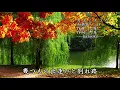 オキノタユウ/和楽器バンド/カラオケ/歌詞/OKINO TAYUU/Wagakki Band