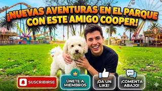 Espero te guste y reciba muchas visitas 🔥🔥🔥 #cooper #youtube #youtubevideo #dog #funny #funnydogs 