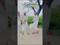 Download Lagu Allah,🧐🤔 Muslim samaj #music #islam #shorts