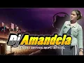 Download Lagu DJ AMANDELA AMANDELA X BALBIMBUM VIRAL TIK TOK 2020