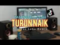 Lagu TURUN NAIK X NONA TANAWAWO PICAH🔥 NGGINUS LEBU REMIX