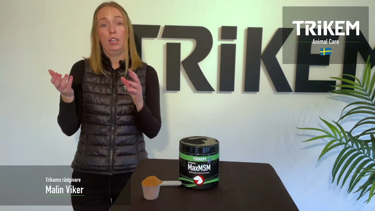 Trikem WorkingDog Max Msm Plus 450 gr.