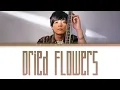 優里 (Yuuri) 「Dried Flowers」 (ドライフラワー English Ver.) Lyrics [Eng]