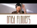 Download Lagu 優里 (Yuuri) 「Dried Flowers」 (ドライフラワー English Ver.) Lyrics [Eng]