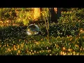 Download Lagu The Brook \u0026 The Bluff - Long Limbs (Official Visualizer)