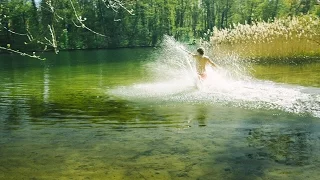 Spring Has Arrived! (Snippet 1)