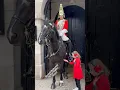 A Touch of Kindness: When the King's Guard Met a Special Little Girl\