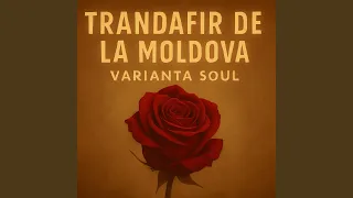 trandafir de la moldova varianta soul 