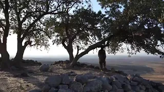 جيا شابا لنكي افي يا 