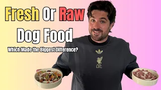 Raw vs Fresh Dog Food: Which Made the Biggest Difference To My Dogs?