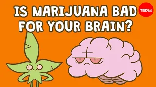 Download Is marijuana bad for your brain - Anees Bahji MP3