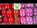 CROCS ECHO CLOG SHOES sale CLEARANCE