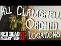 Red Dead Redemption 2 - All 10 Clamshell Orchid Locations Duchesses and Other Animals Exotics RDR2
