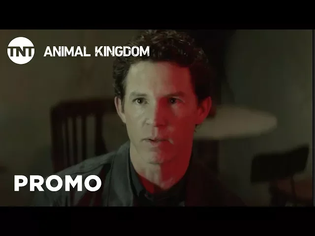 Animal Kingdom: Danger - Season 3 Premieres May 29 [PROMO] | TNT