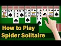 How to play spider solitaire Spider Solitaire game Rules Learn spider solitaire card game